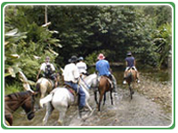 Tilaran Tours Costa Rica