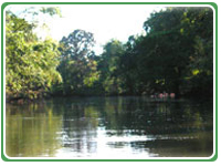 Tortuguero Tour Costa Rica
