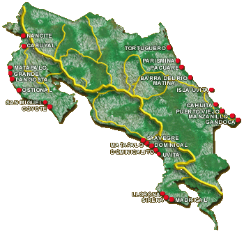 Zones of Turtle Arrival