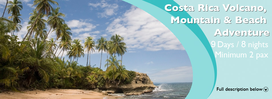 main vacation package banner