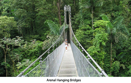 Puentes Colgantes del Arenal Puentes Colgantes del Arenal