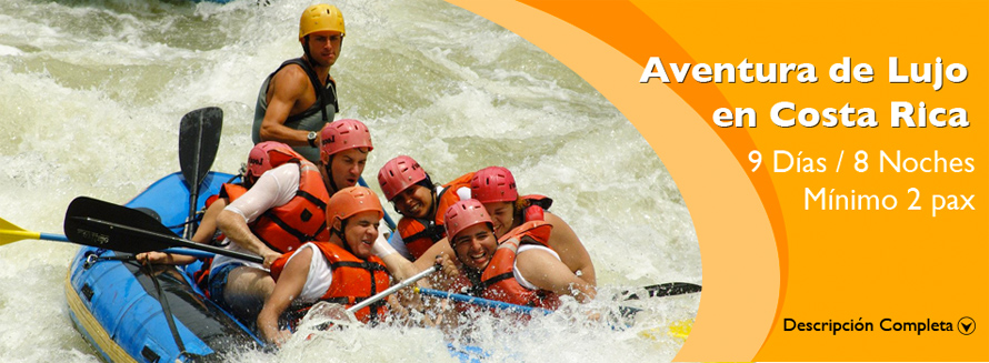 main vacation package banner