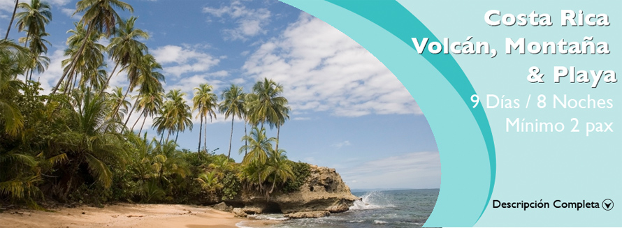 main vacation package banner
