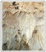 Venado Caves  Costa Rica