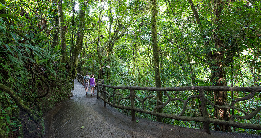 Costa Rica was recognized as the best wildlife and nature destination 2019