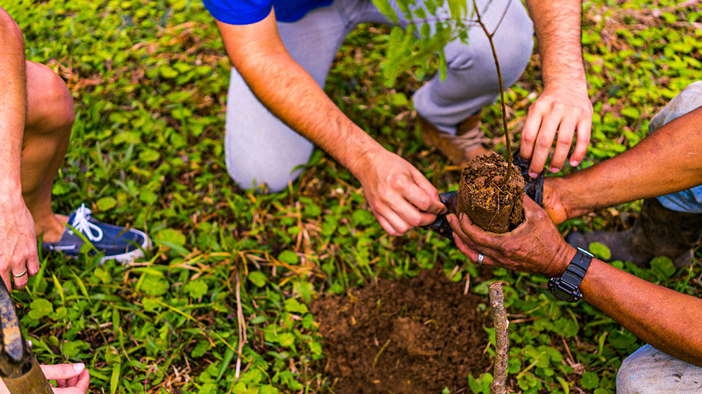 Global Sustainable Tourism Council awarded Costa Rica CST