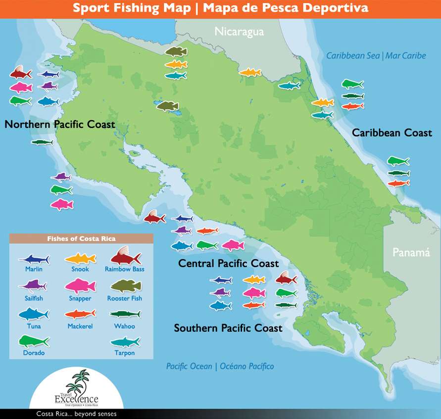 Costa Rica SportFishing Vacations Packages Guide