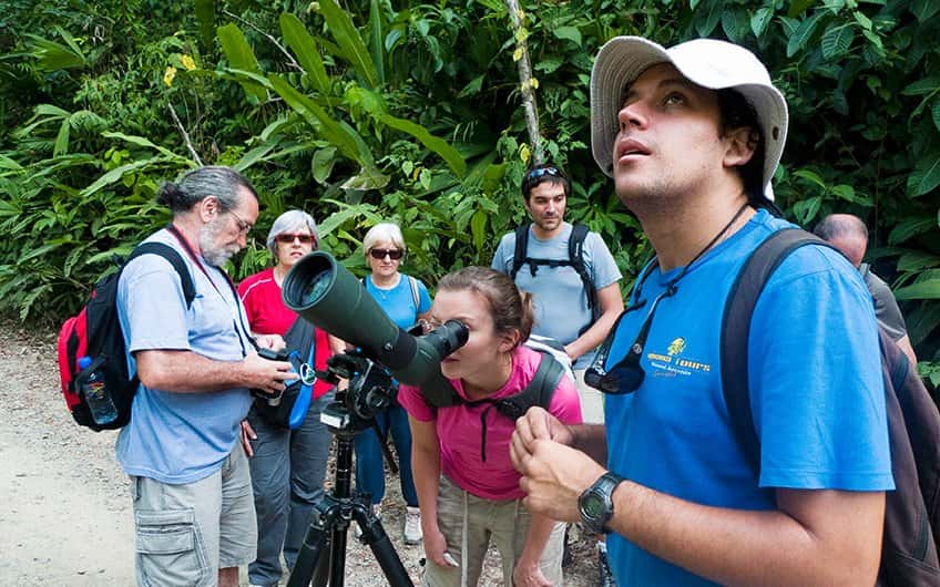 A group of 5 birdwatchers and their local tourist guide at Manuel Antonio National Park, using a telescope to spot birds.