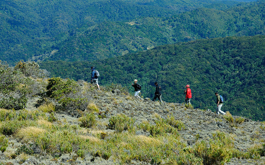 Walking to Cerro de la Muerte in San Gerardo de Dota Costa Rica
