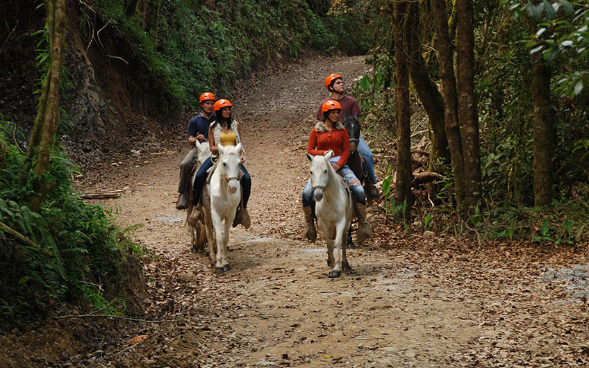 Horseback Riding in San Gerardo de Dota Costa Rica