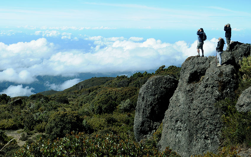 Visit Los Quetzales National Park in San Gerardo de Dota Costa Rica