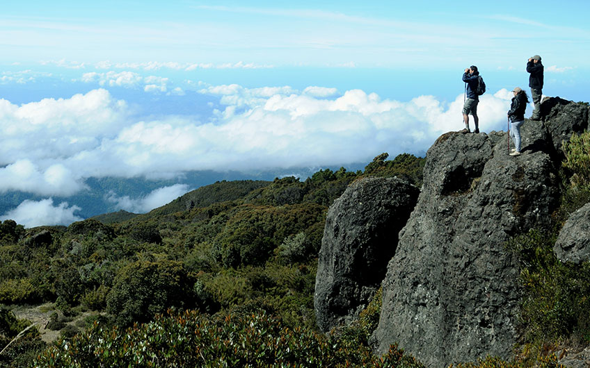 Visit Los Quetzales National Park in San Gerardo de Dota Costa Rica