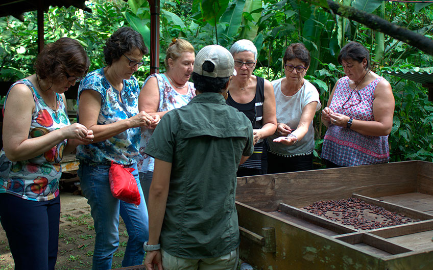 Sarapiquí Costa Rica Travel Guide: Chocolate tour in Tirimbina
