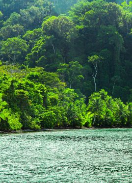 Corcovado National Park in Costa Rica