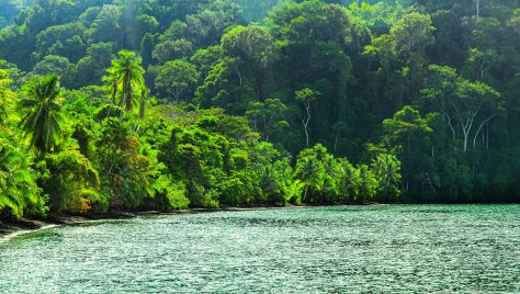 Corcovado Nationalpark Costa Rica