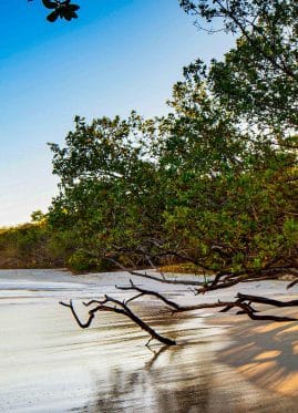 Liberia, Guanacaste