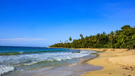 Südkaribik – Puerto Viejo, Manzanillo, Cahuita Costa Rica