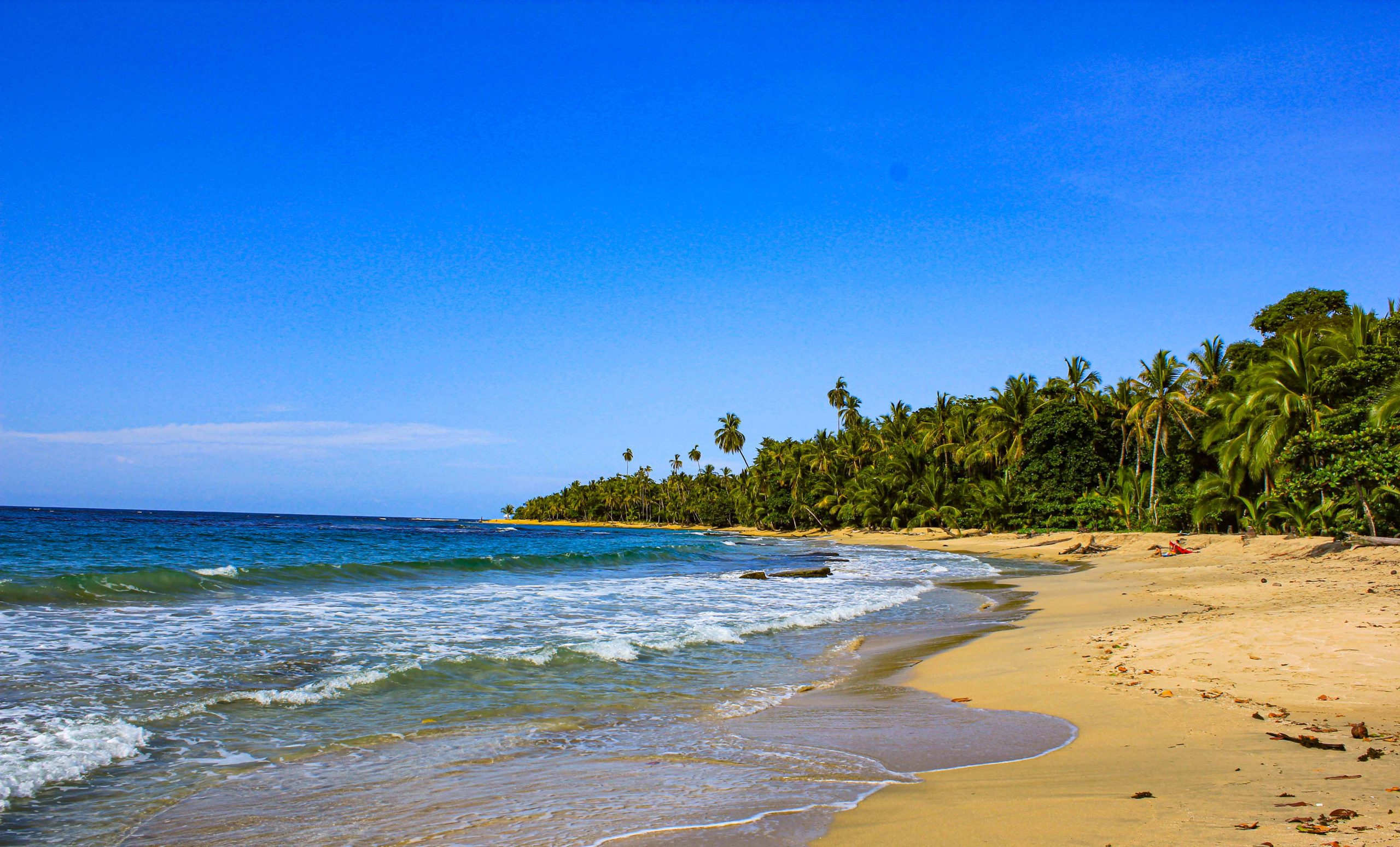 puerto viejo weather