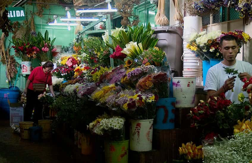 Der Markt von San Jose Costa Rica bietet eine große Auswahl an lokalen Produkten, Gemüse vom Bauernhof, Blumen, Kunsthandwerk und vieles mehr. 