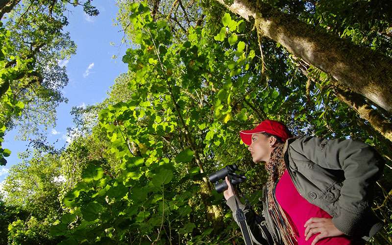 Birdwatching Costa Rica