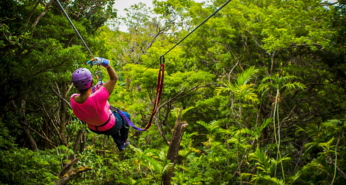 Tours de Canopy o tirolesa en Costa Rica