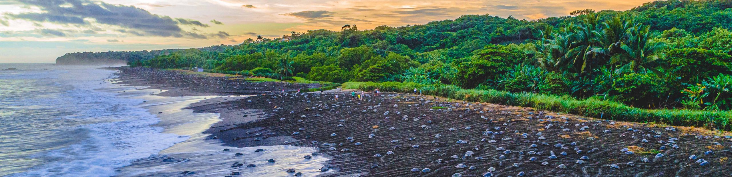 Guía de ecoturismo en Costa Rica