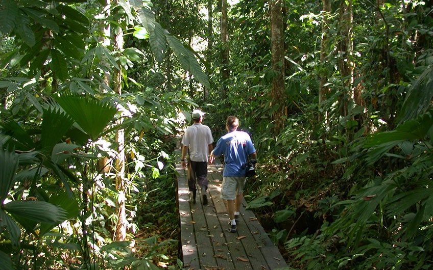 Corcovado National Park