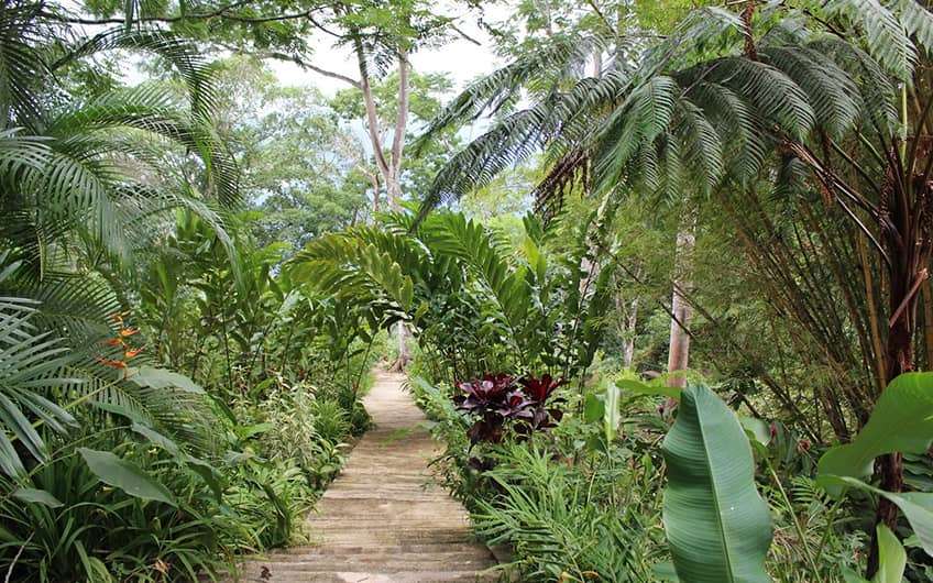 Jaco Beach Costa Rica, Pura Vida Gardens
