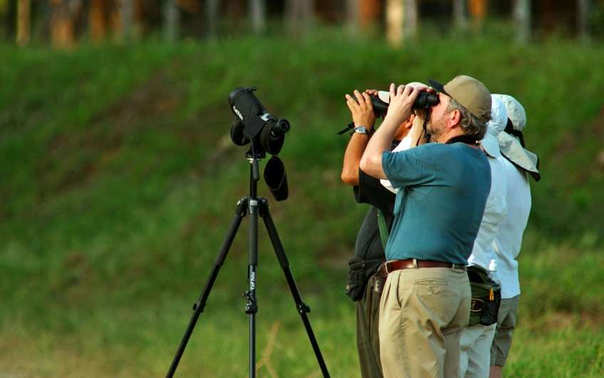 A los observadores de aves de todo el mundo les encantan los tours en Guanacaste Costa Rica, ya que el área es rica en biodiversidad y especies de aves.