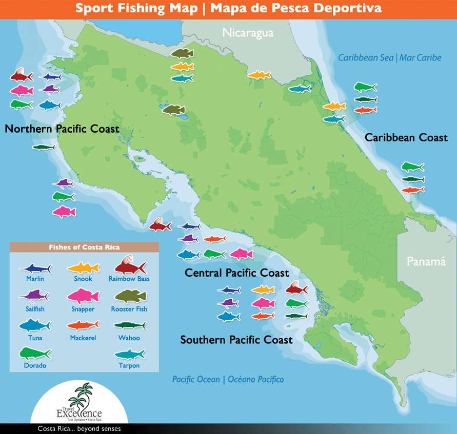 Costa rica sport fishing map fishes by zone