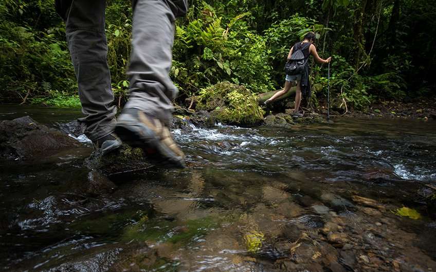 Un viaje a Guanacaste no se completará sin experimentar el senderismo por sus bosques. ¡Cruzar sus pequeños ríos y su densa biodiversidad es una aventura total!