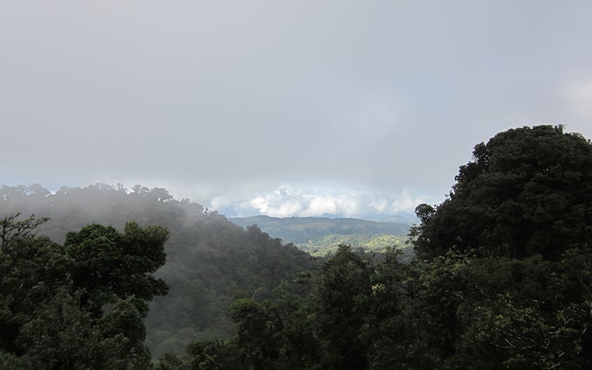 Monteverde Costa Rica, Monteverde Nebelwald Reservat