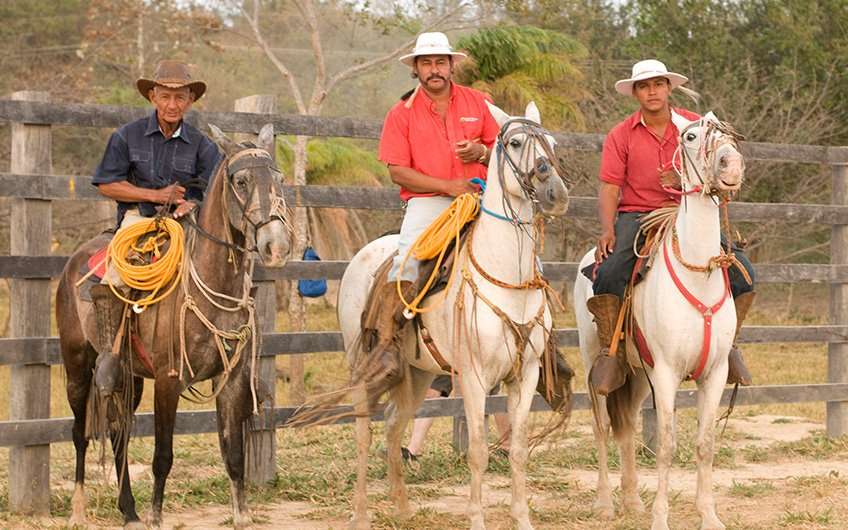 Es ist üblich, die berühmten Sabaneros (oder Viehzüchter) zu beobachten, wenn man hier Urlaub macht. Sie sind ikonische Wahrzeichen der Provinz Guanacaste.