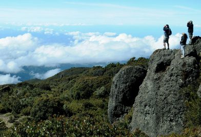 Walking Quetzal Tour