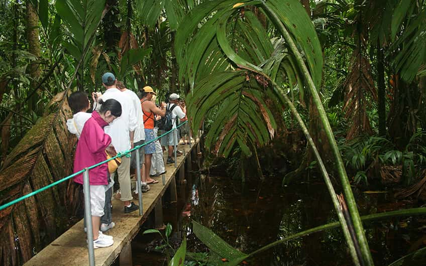 Tortuguero Costa Rica, Day walk