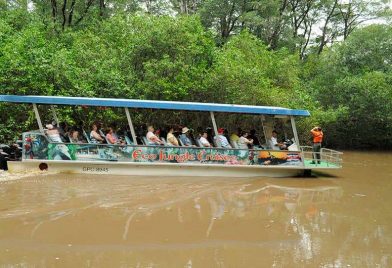 Boat Ride Through Jungle River