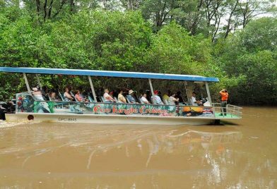 Paseo en bote y aventura de cocodril