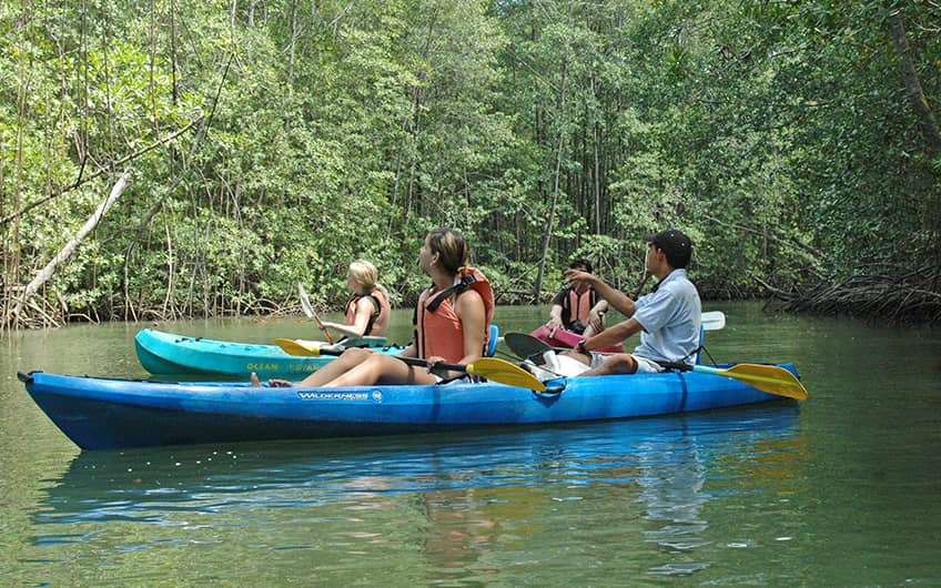 Jaco Beach Costa Rica, Kayak through the mangroves