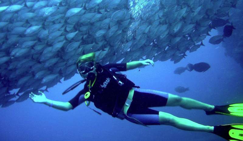 Diving in Costa Rica