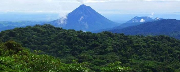 My wonderful journey to Monteverde Cloud Forest. A rainforest you have to visit at least once in your life!