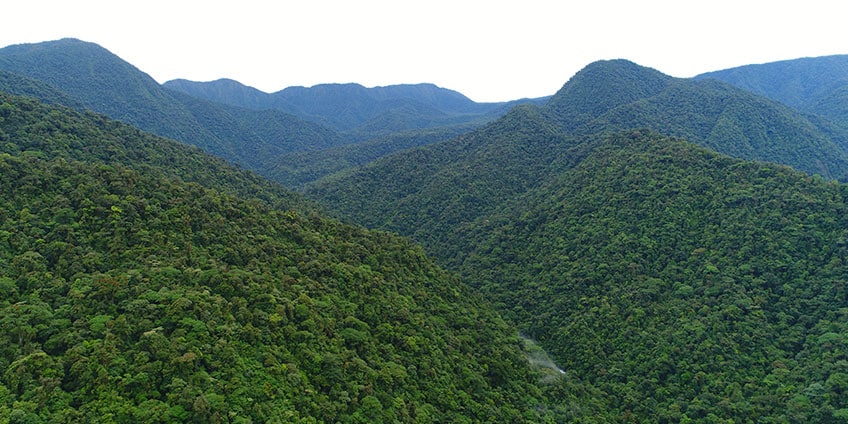 Braulio Carrillo National Park