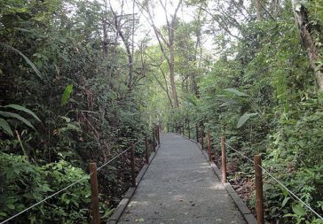 Carara National Park From Jaco