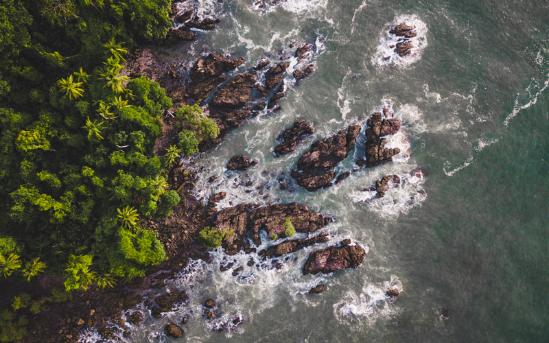 Uno dei migliori posti da visitare in Costa Rica per le coppie: Il Parco Nazionale Corcovado nella zona sud del Pacifico del paese.