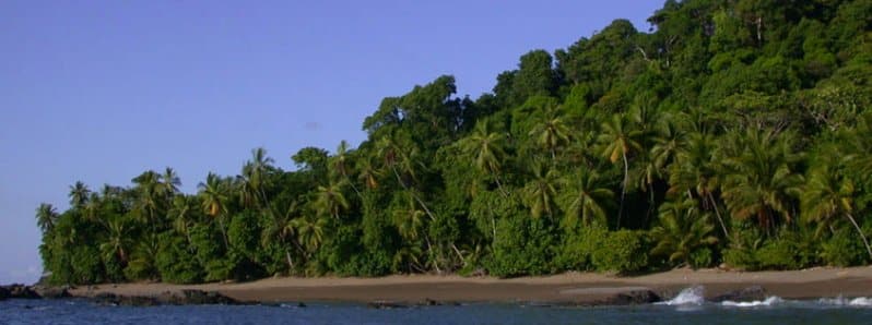 Corcovado National Park in Costa Rica