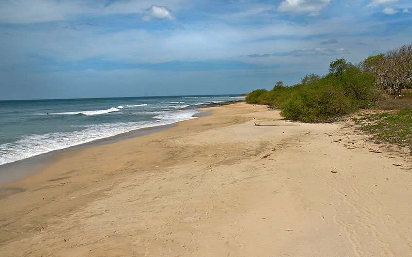 Avellana Beach Costa Rica