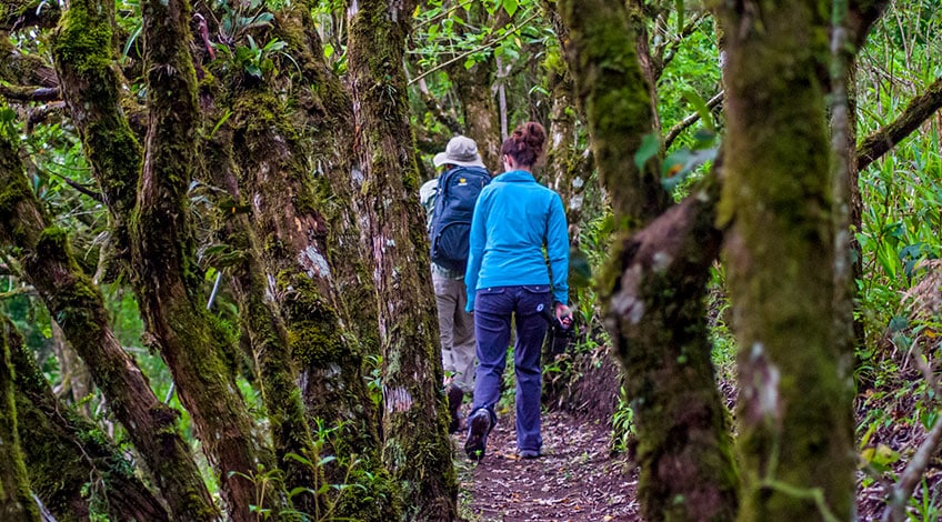 Costa Rica hotels: El Establo a great family-owned lodge in Monteverde Hiking Reserve