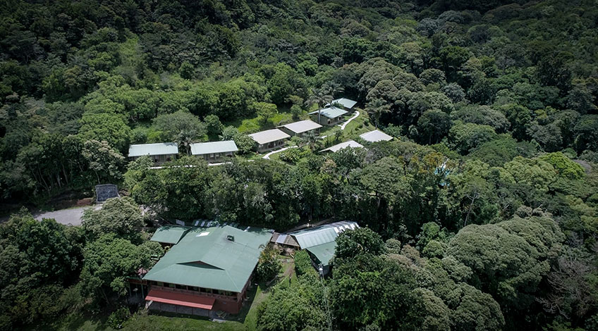 Costa Rica, Monteverde Cloud Forest: Monteverde Cloud Forest Lodge