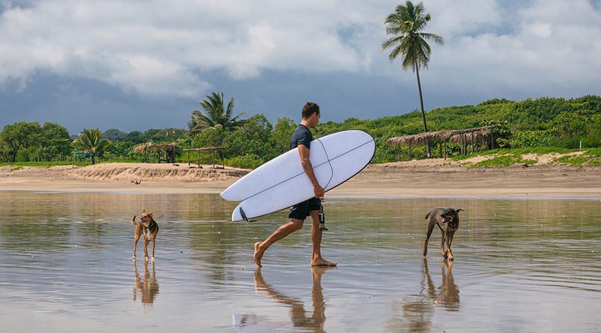 Costa Rica surf: Nosara beach amongst World’s 20 Best Surf Towns