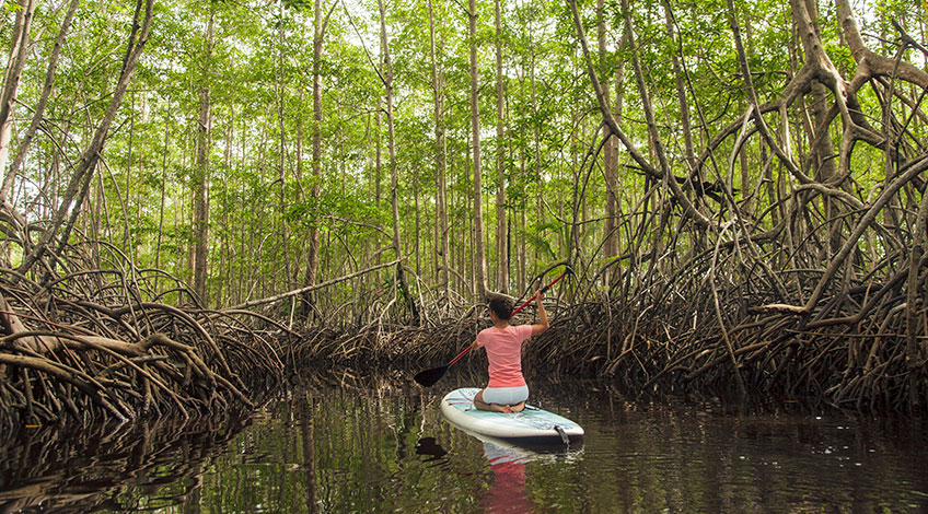 Costa Rica vacations: Adventure sports to enjoy during while here Kayak