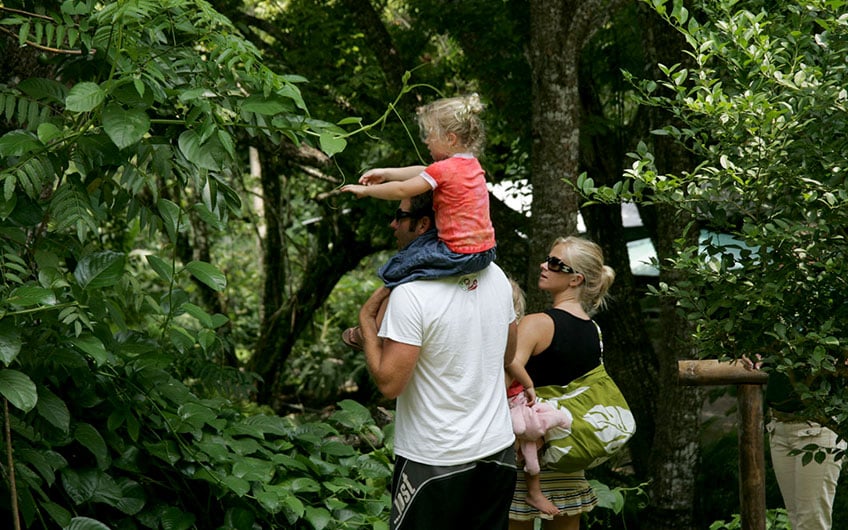 Carara National Park Costa Rica